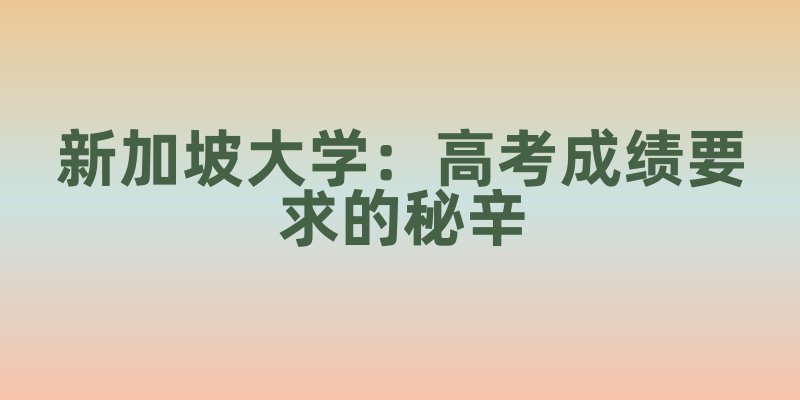 新加坡大学：高考成绩要求的秘辛