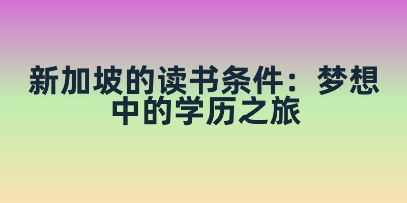 新加坡的读书条件:梦想中的学历之旅