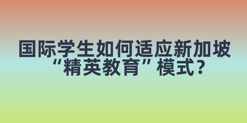 国际学生如何适应新加坡“精英教育”模式？