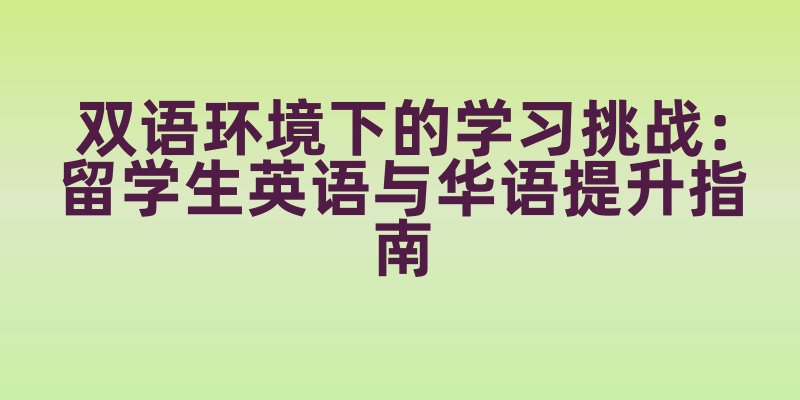 双语环境下的学习挑战：留学生英语与华语提升指南