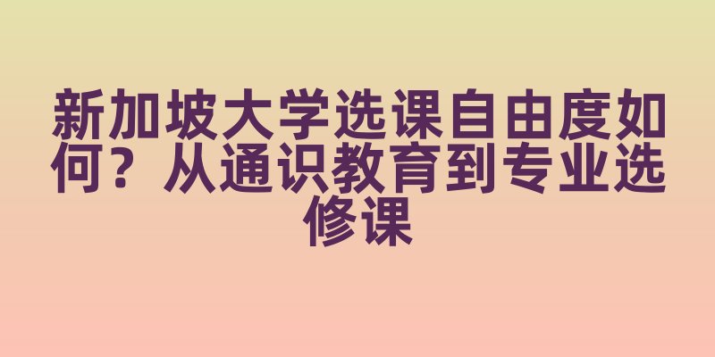 新加坡大学选课自由度如何？从通识教育到专业选修课