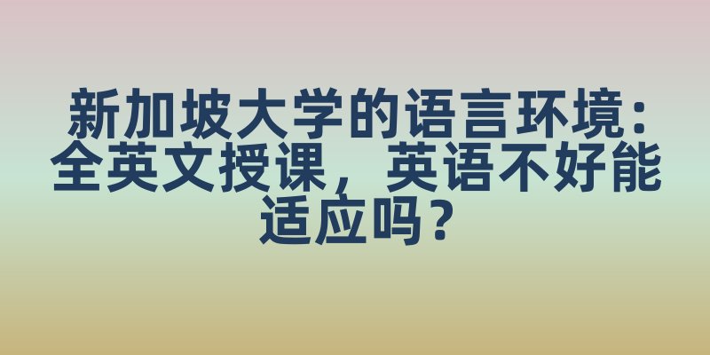 新加坡大学的语言环境：全英文授课，英语不好能适应吗？