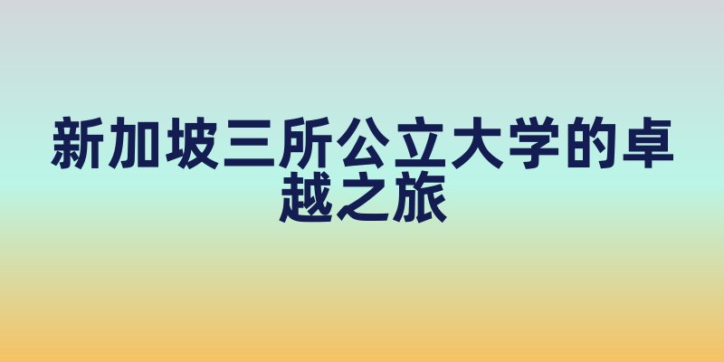 新加坡三所公立大学的卓越之旅