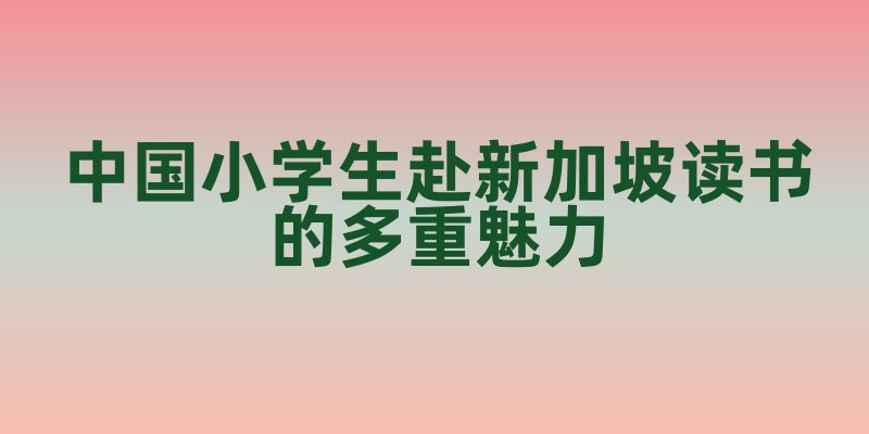 中国小学生赴新加坡读书的多重魅力