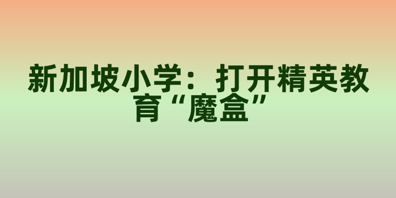 新加坡小学:打开精英教育“魔盒”,让孩子天赋自由绽放!(上)