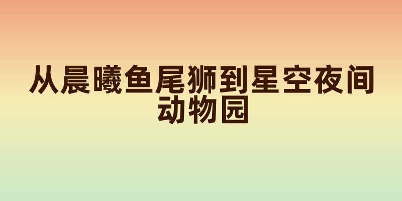 新加坡暴走全攻略:从晨曦鱼尾狮到星空夜间动物园