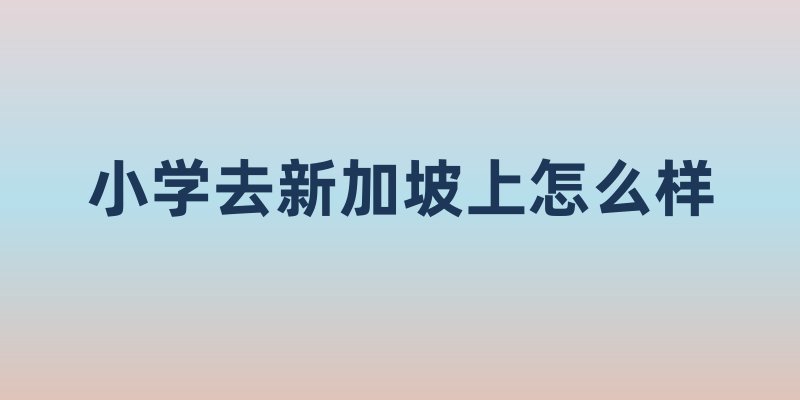 小学去新加坡上怎么样