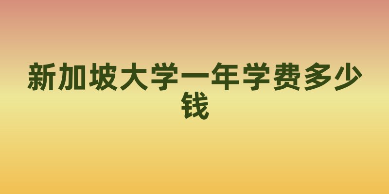 新加坡大学一年学费多少钱