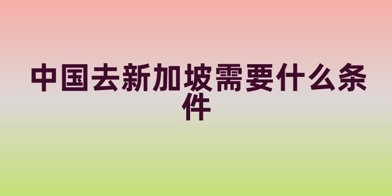 中国去新加坡需要什么条件