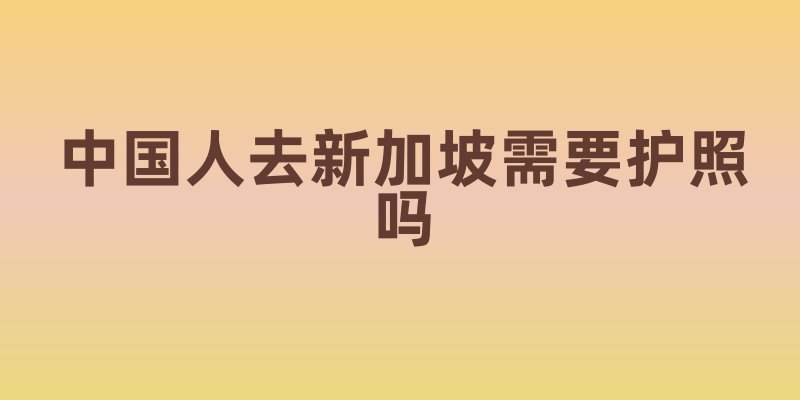 中国人去新加坡需要护照吗