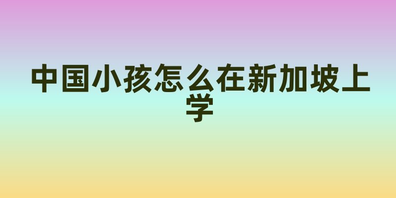 中国小孩怎么在新加坡上学