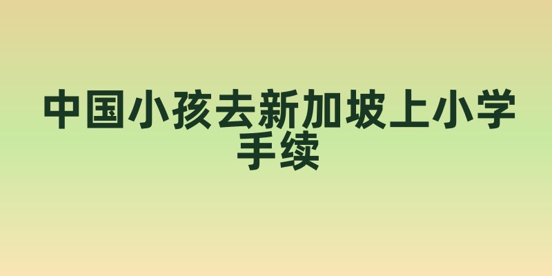 中国小孩去新加坡上小学手续