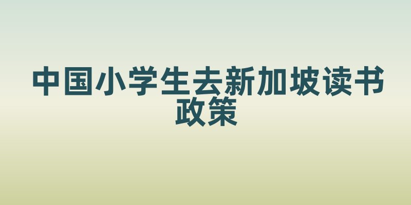 中国小学生去新加坡读书政策