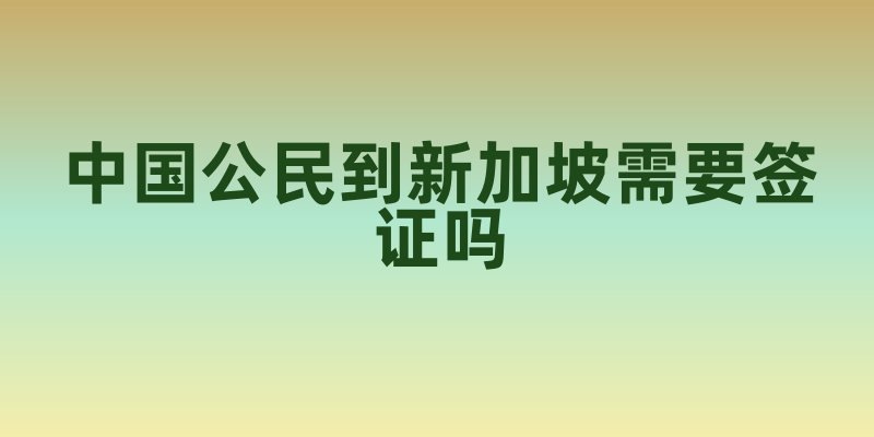 中国公民到新加坡需要签证吗
