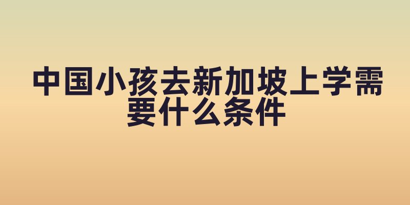 中国小孩去新加坡上学需要什么条件