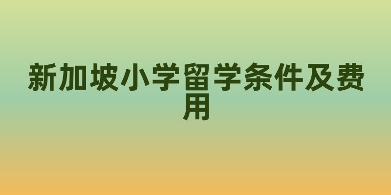 新加坡小学留学条件及费用