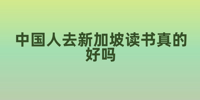 中国人去新加坡读书真的好吗