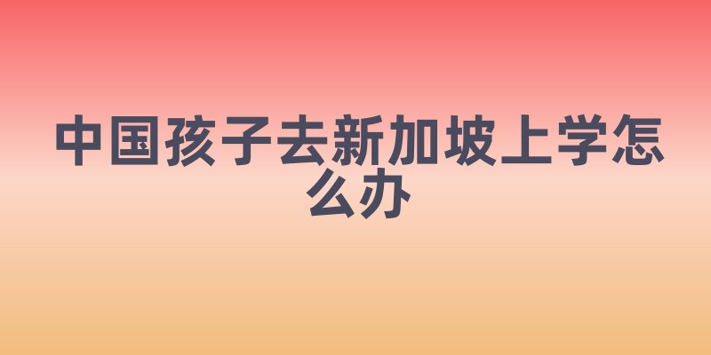 中国孩子去新加坡上学怎么办