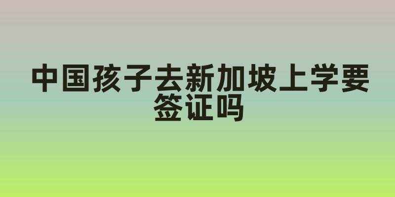中国孩子去新加坡上学要签证吗？