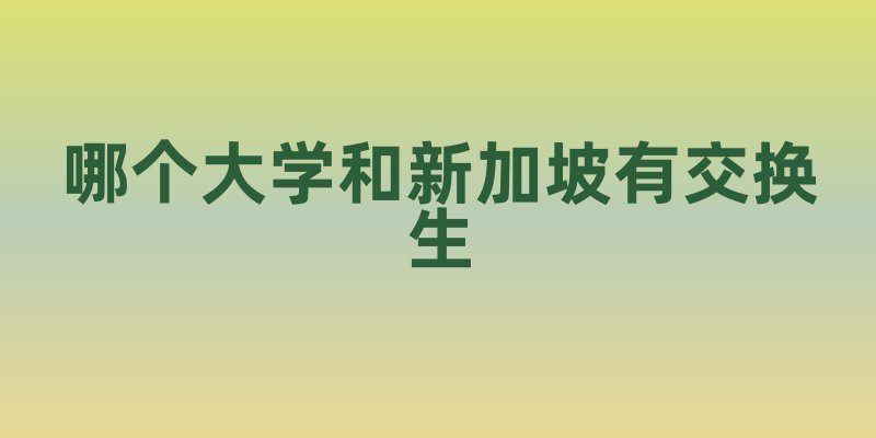 新加坡交换生项目科普：与世界接轨的学习之旅