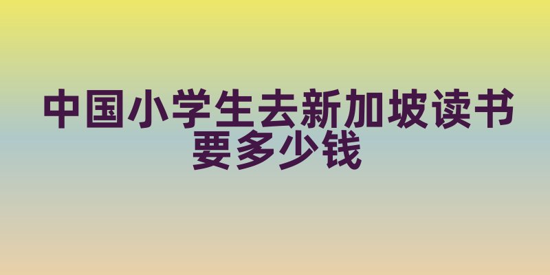 中国小学生去新加坡读书要多少钱