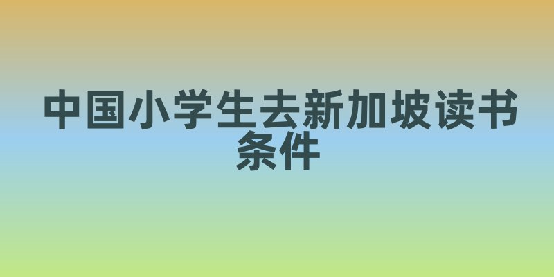 中国小学生去新加坡读书条件科普