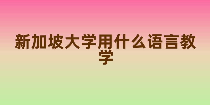 新加坡大学用什么语言教学